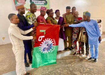 Ogun Labour Party Reunites, Picks Mojisola Ajayi as Consensus Governorship Candidate